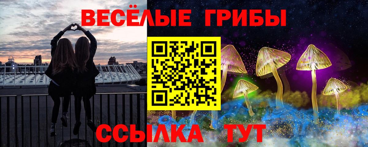 Владимир  Псилоцибиновые грибы MAGIC MUSHROOMS  Вход с VPN 